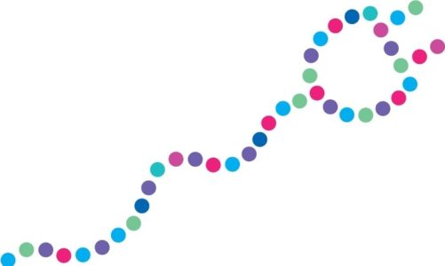 Netia i RWE oferują pakiet łączonych korzyści