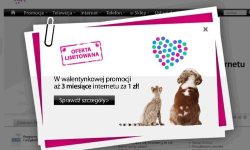 3 miesiące internetu za 1 zł na Walentynki od Netii