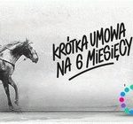 Nowe GigaOferty Netii