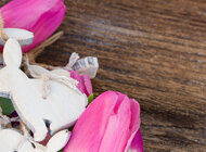 Wielkanocne ozdoby od Dekoral styl życia, zainteresowania, hobby - Słoneczna pogoda, soczysta zieleń trawy i świeże kolory pierwszych kwiatów – wiosenna aura nie tylko ozdabia Święta Wielkanocne, ale także tworzy ich atmosferę. Jej elementy, tak jak wielkanocne króliki i pisanki, stanowią doskonałą oprawę domu.