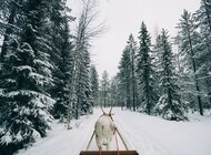 W czasie Świąt podziękujmy tym, którzy o nas dbają. Samsung z wizytą u Świętego Mikołaja