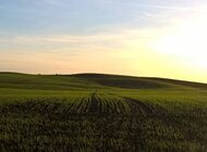 Ericsson wspiera projekty IoT (Internet of Things) na obszarach wiejskich internet, technologie - List intencyjny podpisany przez firmę Ericsson oraz Fundację PLON obejmuje wspólne