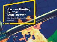 Rosnący apetyt na dezinwestycje wpływa na wzrost liczby transakcji fuzji i przejęć technologie, ekonomia/biznes/finanse - 87% badanych przedsiębiorstw planuje dezinwestycje do 2020 roku, by móc konkurować w gwałtownie zmieniającym się otoczeniu technologicznym.