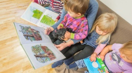 Norlandia buduje w Polsce sieć przedszkoli niepublicznych BIZNES, Edukacja - Norlandia, norweska sieć niepublicznych przedszkoli, rozwija swoją działalność na rynku polskim. Obecnie działa już 7 placówek, a kolejnych 6 wystartuje jesienią br. Aktualnie wszystkie przedszkola w sieci prowadzą otwartą rekrutację podopiecznych oraz pracowników.