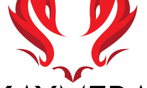 Bank BGŻ BNP Paribas wdraża platformę Adaptive Mobile Threat Defense Footprint firmy Kaymera Technologies