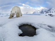 Ranking TOP 5 najbardziej zdumiewających przypadków utraty danych na świecie w 2018 roku internet, technologie -