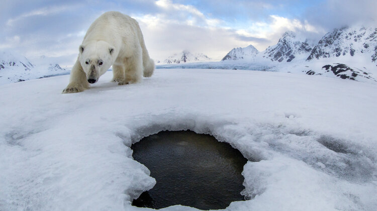 Ranking TOP 5 najbardziej zdumiewających przypadków utraty danych na świecie w 2018 roku internet, technologie -