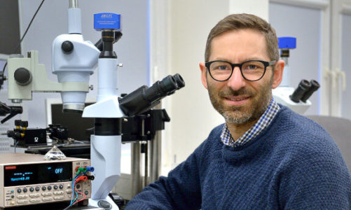 Diamentowe origami naukowców z PG powstanie w ramach projektu nagrodzonego w konkursie FNP