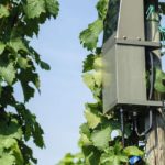 Technologia 5G w rolnictwie będzie rewolucją
