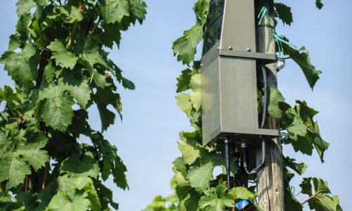 Technologia 5G w rolnictwie będzie rewolucją