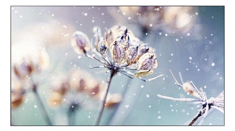 Samsung VMR-U – Video wall z wbudowanym SoC technologie, towary konsumpcyjne - Samsung prezentuje monitor profesjonalny z serii VMR-U o przekątnej 46 cali, który idealnie sprawdzi się do budowy ścian wideo, bez konieczności zakupu dodatkowego playera lub matrycy. Dzięki wbudowaniu w monitor o cienkich ramkach playera, redukujemy koszt instalacji. Jest to zasługa SoC (System on Chip), który pozwala stworzyć jeden duży ekran z kilku monitów i zarządzać nim z systemu Magic Info. Technologia ta może być wykorzystana m.in. w placówkach handlowych, hotelowych lobby, lotniskach czy restauracjach.