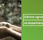 Zielone ogrody na kopalnianych hałdach