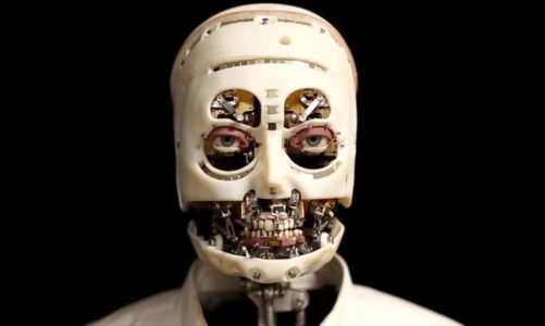 Humanoidy mają się dobrze. Rynek rośnie w siłę