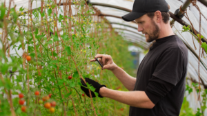 Ericsson_agro-green Raport Ericsson: Czy możemy wprowadzić 5G i zmniejszyć zużycie energii?